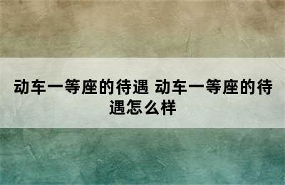 动车一等座的待遇 动车一等座的待遇怎么样